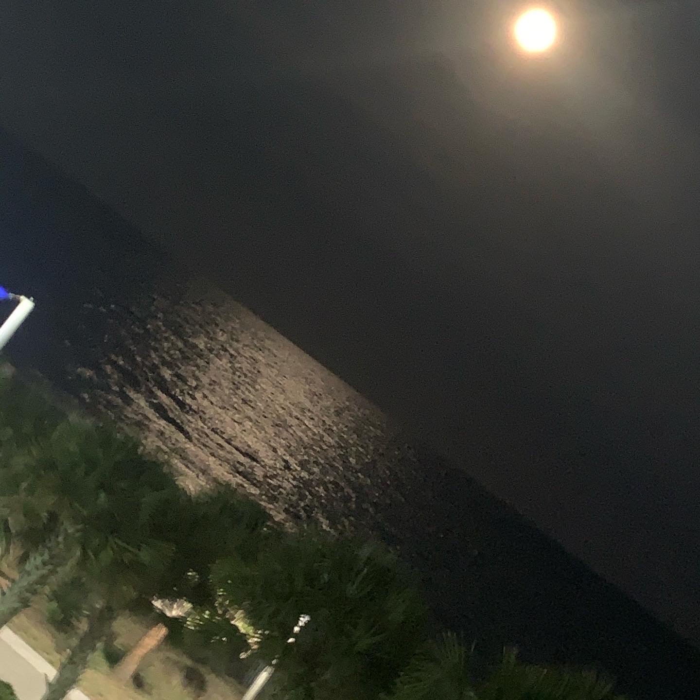 Vacation photo 4