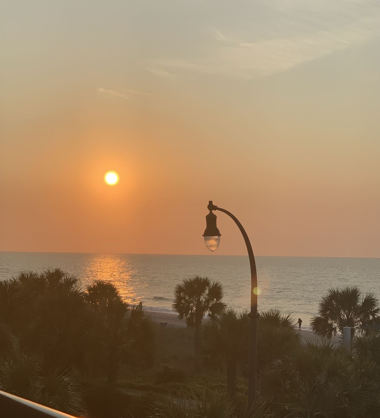 Vacation photo 8